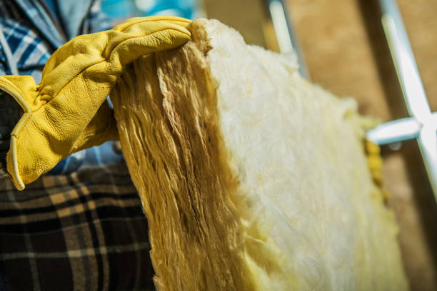 Best Specialized Insulation Services in Carrollton, VA